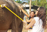 Votre aventure au sein du sanctuaire en Thaïlande - voyages adékua