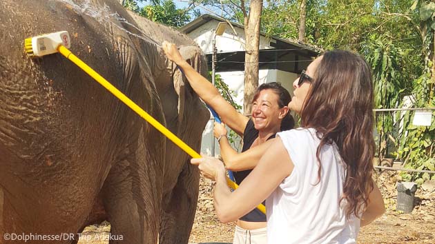 Vacances découverte dans un sanctuaire d'éléphant en Thaïlande