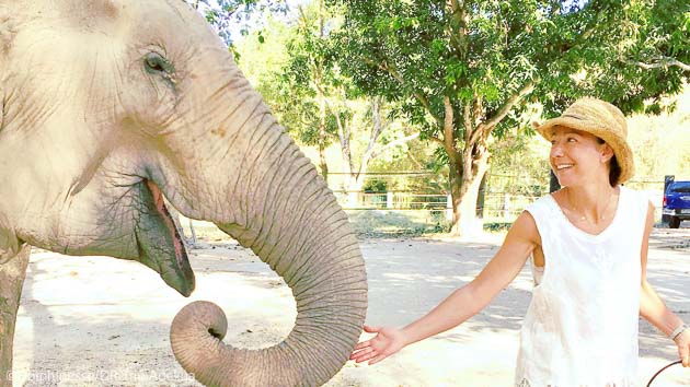 Partagez la vie des éléphants en Thaïlande